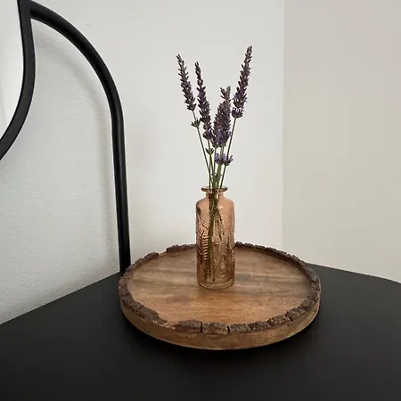 Celine Apartment Wasserhofen